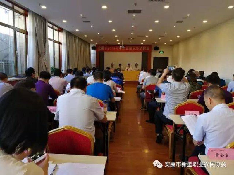 安康月嫂：如何选择最合适的护理专家？